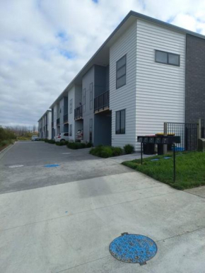Cozy is the word Tauranga